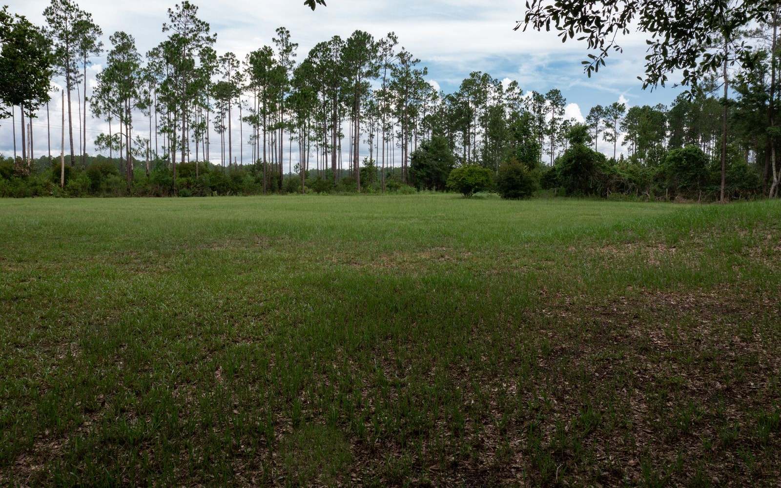 Property view 37